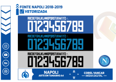 Fonte Napoli 2018-2019